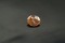 PREMIUM: Pink-Orange padparadscha-like Sapphire - Oval - 1.39 ct. - IGL