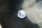 PREMIUM: Vivid Crisp White Sapphire - Octagon - 1.68 ct. - AGL