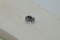 PREMIUM: Vivid Crisp White Sapphire - Rectangular - 1.2 ct. - COR