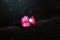 Rubellite - Round - 2.5 ct. - COR