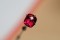 Rubellite - Round - 2.5 ct. - COR