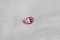 Genuine vivid pink Sapphire - Oval - 0.74 ct. - GIA