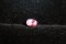 Genuine vivid pink Sapphire - Oval - 0.74 ct. - GIA