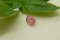 RARE: Neon Pink Mahenge Spinel - Oval - 1.05 ct. - COR