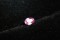 purplish pink Sapphire - Oval - 0.65 ct. - GIA