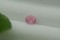 RARE: Neon Pink Mahenge Spinel - Oval - 1 ct. - COR