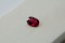 APPRAISED PREMIUM: Vivid Red Rubellite - Oval - 0.7 ct. - COR