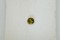 RARE: Vivid yellow-Green Dunilite - Round - 0.45 ct. - COR