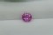 Vivid Pink Sapphire - Oval - 1.5 ct. - COR