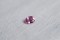 Hot Pink Sapphire - Oval - 0.65 ct. - IGL