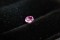 Hot Pink Sapphire - Oval - 0.65 ct. - IGL