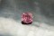 APPRAISED PREMIUM: Vivid Pastel Orange-Pink Spinel - Octagon - 2.1 ct. - AGL