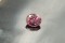 PREMIUM: Vivid Orange-Pink Rhodolite Garnet - Oval - 2.68 ct. - IGL