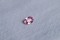 Hot Pink Sapphire - Oval - 0.53 ct. - IGL